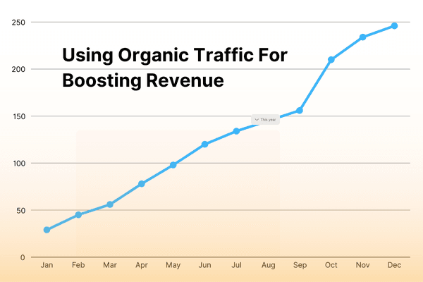 Organic Traffic For Small Business