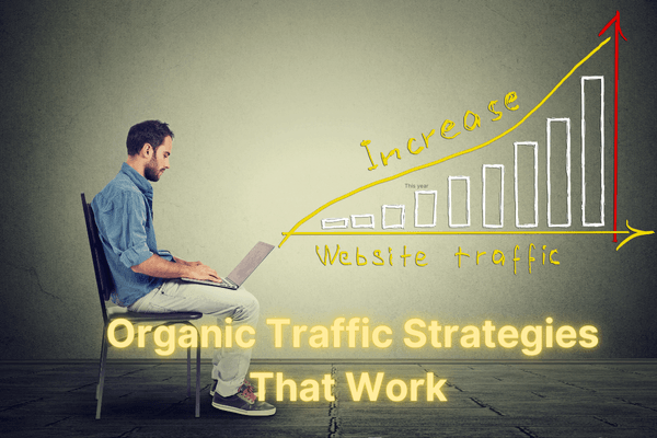 Organic Traffic Strategies That Work